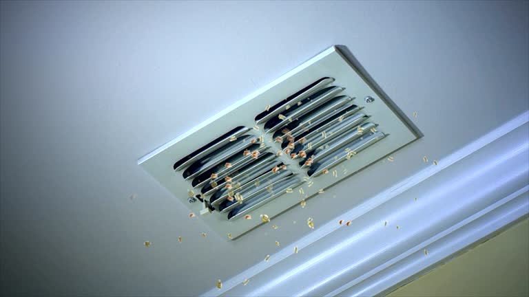 Best Air Duct Cleaning Company Near Me  in Ponce Inlet, FL